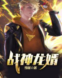 战神龙婿云战龙沐婷